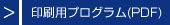 印刷用プログラム(PDF)