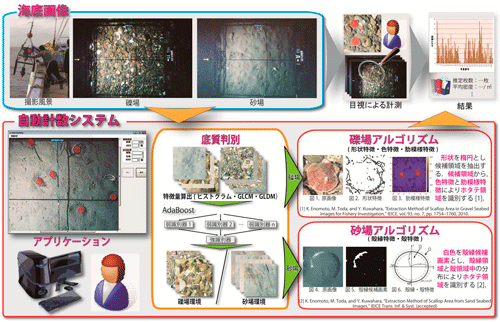 ホタテガイのための自動計測システム