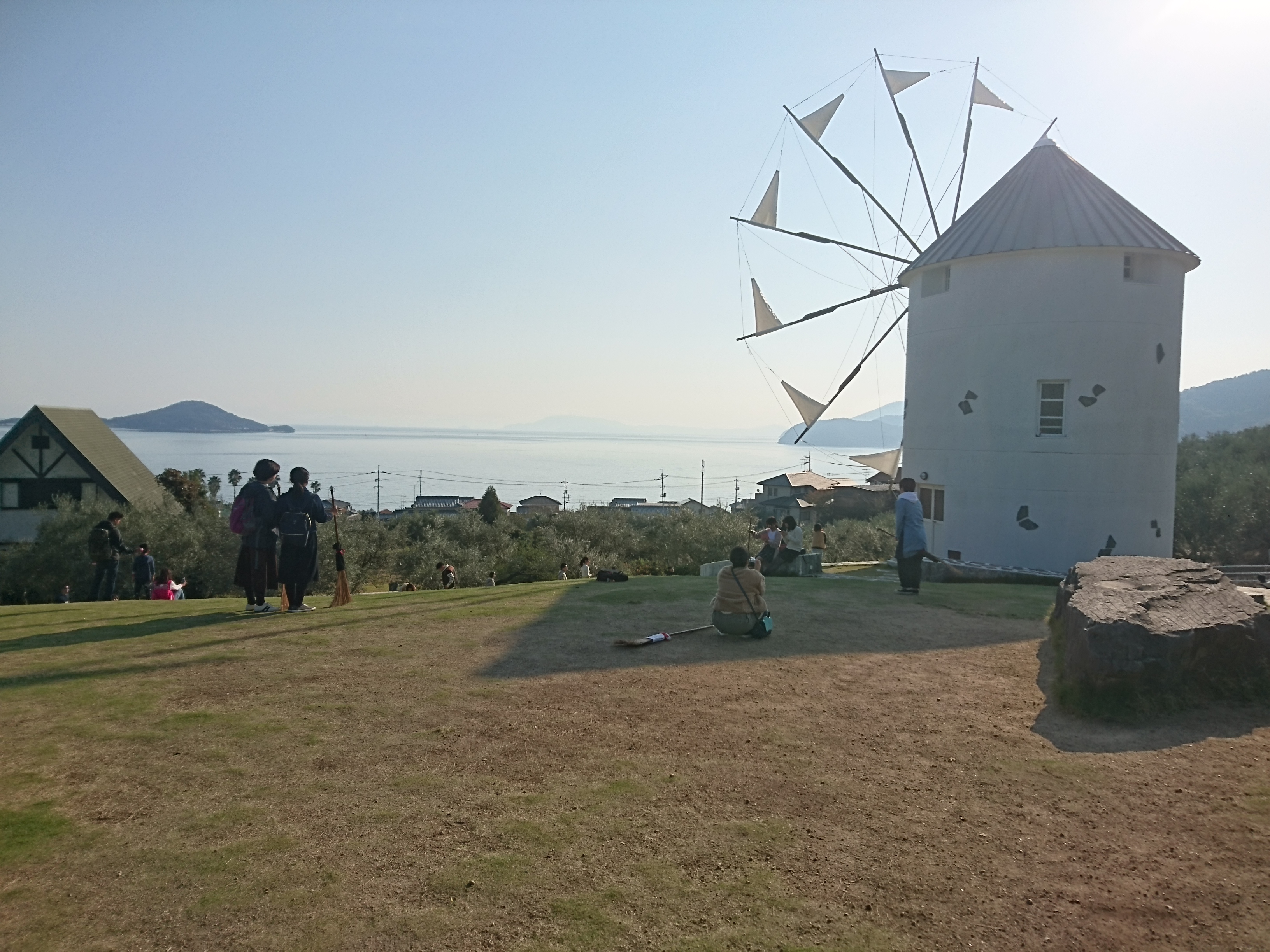 実験開始直後の小豆島オリーブ公園の写真