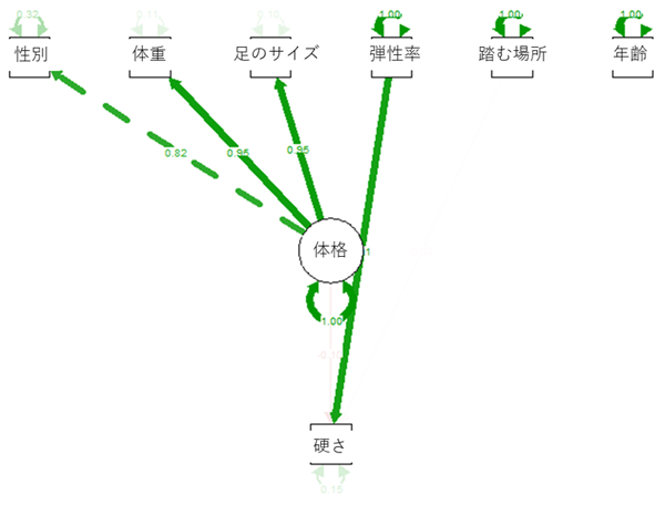 SEMによるパス解析の結果