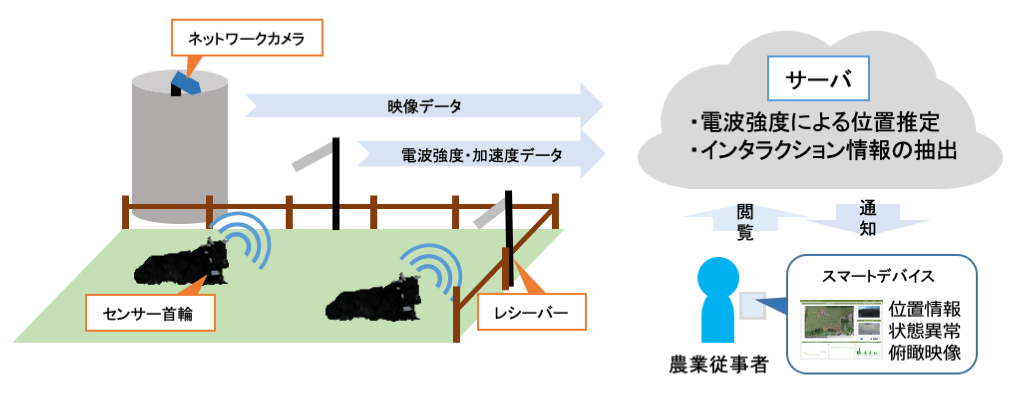 本システムの流れおよび使用する設備の概要