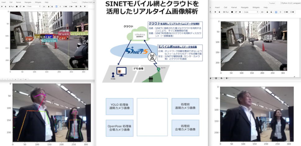 オンラインビデオ処理実証実験結果のスナップショット．　A snapshot of the online video processing demonstration.