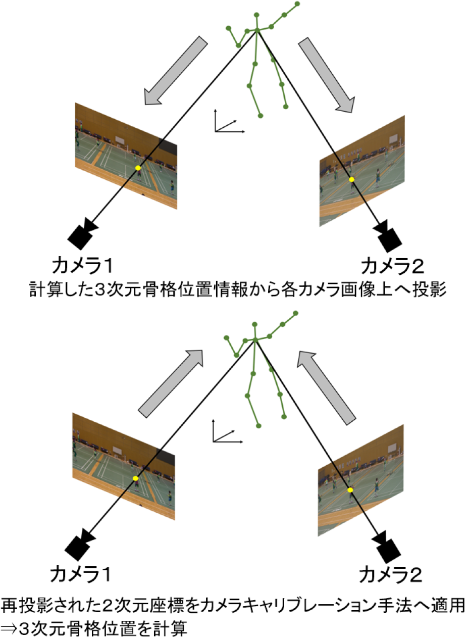 再投影誤差の比較実験（上段：計算した3次元骨格位置から各カメラ画像上へ投影．下段：画像上へ投影された2視点の位置を，再び提案手法に適用し3次元骨格位置を計算．）　Reprojection error comparison experiment (Upper: Projection from the calculated 3D skeleton position onto each camera image. Bottom: The positions of the two viewpoints projected on the image are applied to the proposed method again to calculate the 3D skeleton position.)