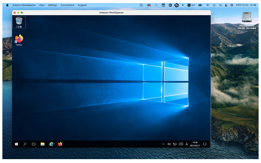 VDIによるMac上のWindows 10例