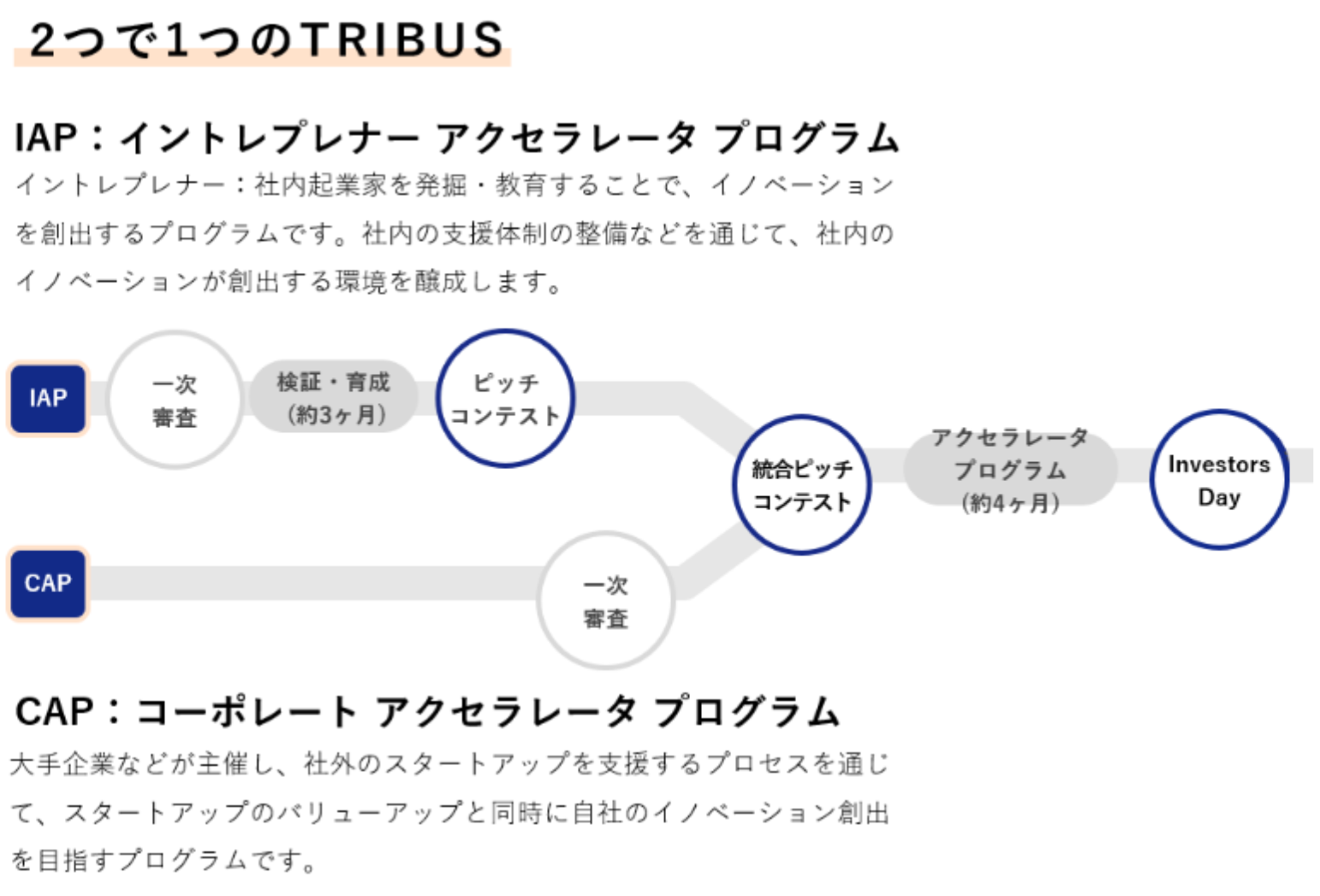 プログラム全体像