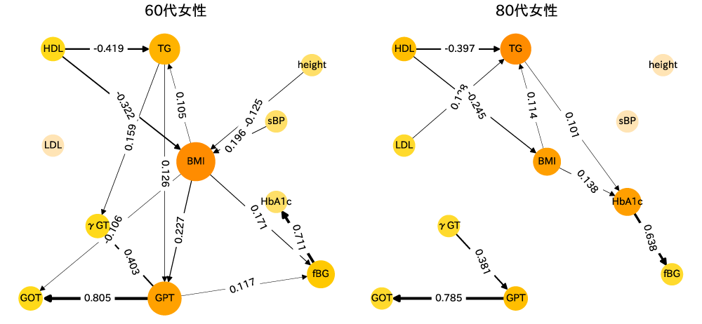 60代女性の健診データから推定された因果ダイアグラム（左）と，80代女性の健診データから推定された因果ダイアグラム（右）