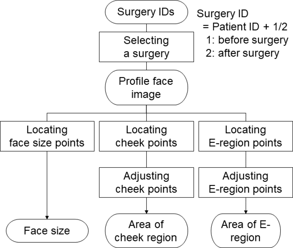 Schematic overview of the proposed automated image analysis system.