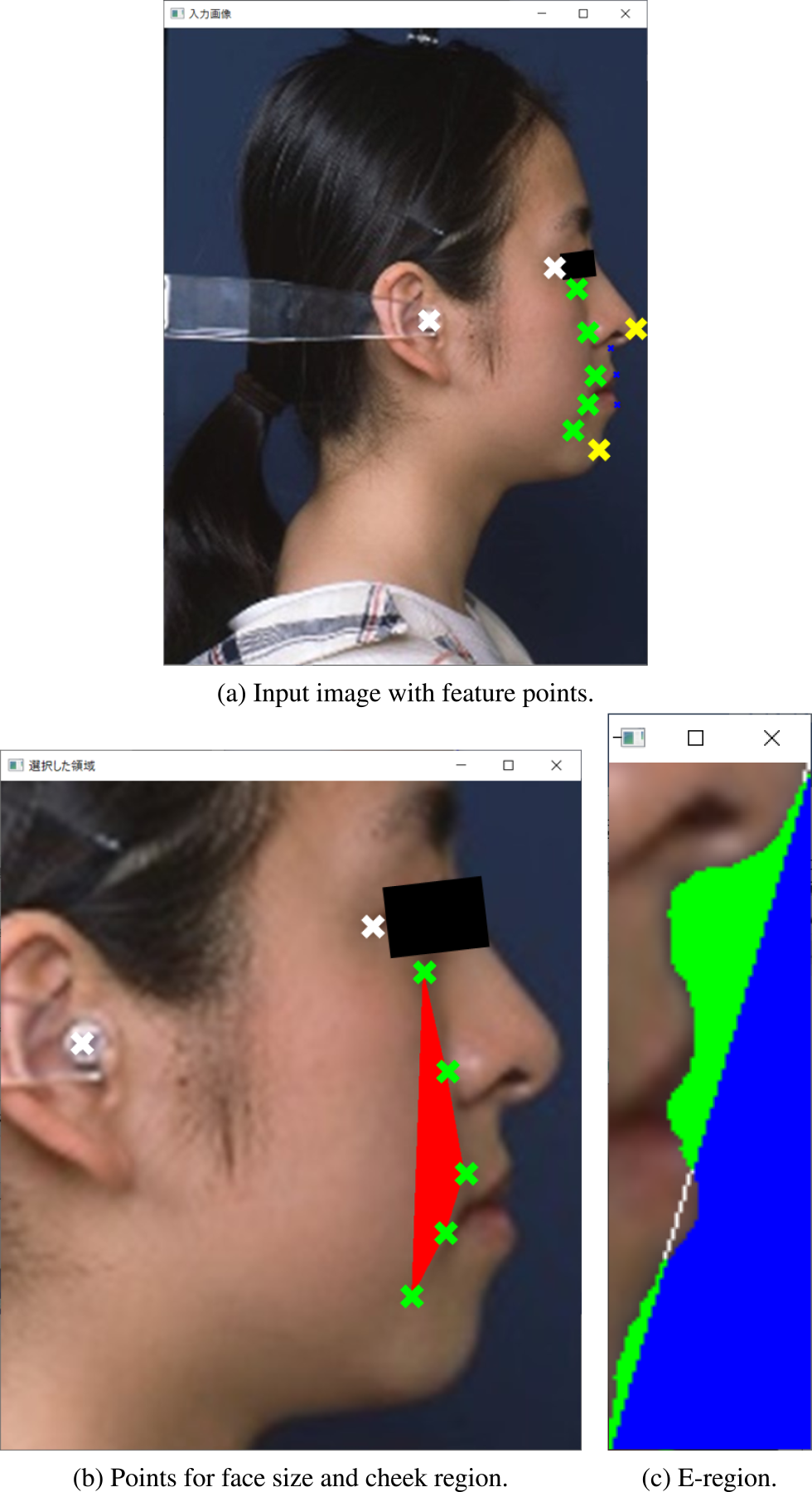 Images with feature points for parameterizing soft tissues. White marks (the outer corner of upper eyelid and the center of ear rod) specify face size.