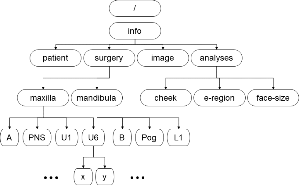 A major elements of the DOM of the XML format for managing orthognathic surgery data.