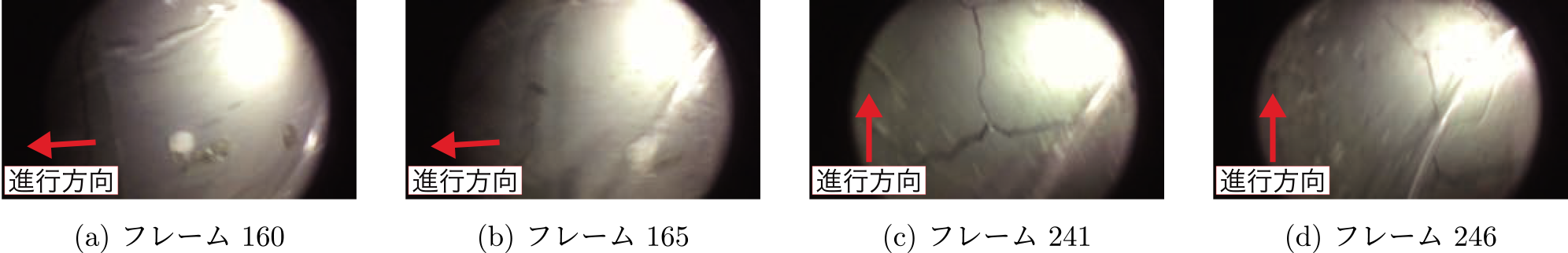 iPod touchを利用した浮流カメラによる入力映像の各フレーム　Examples of input video frames from the drifting camera using an iPod touch.