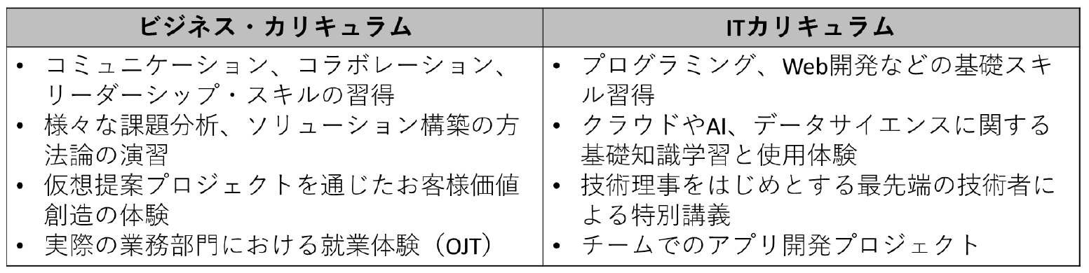 Access Blueのカリキュラム概要（日本IBM資料から転載）