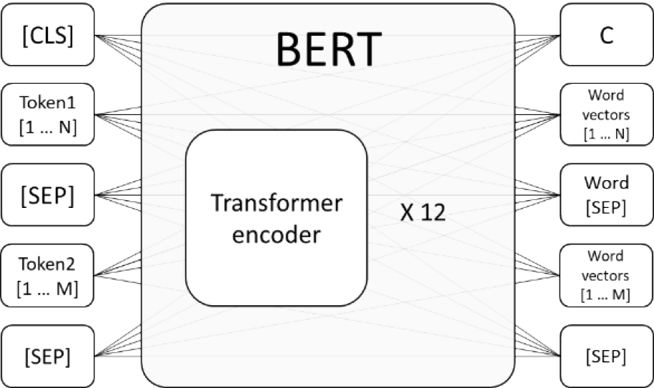 The BERT model during pre-training step.