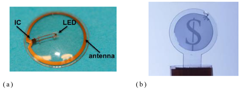 初期のコンタクトレンズ型ディスプレイの研究：（a）University of Washington [3]，（b）Ghent University [4]