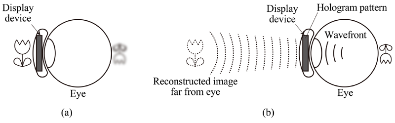 ホログラフィ技術を用いたコンタクトレンズ型ディスプレイの実現方法：（a）課題，（b）解決方法