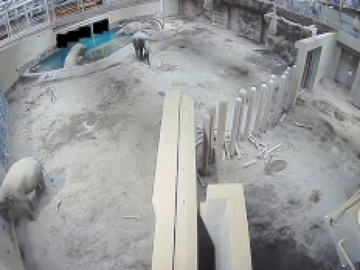 監視カメラ映像　Surveillance camera images.