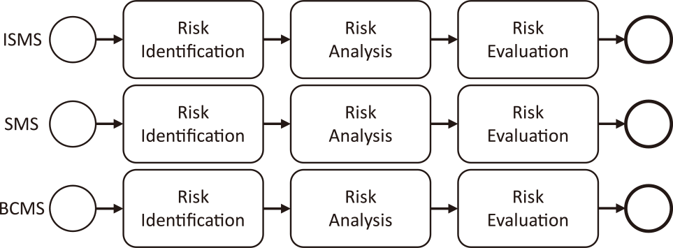 Process diagram for individual risk assessment.