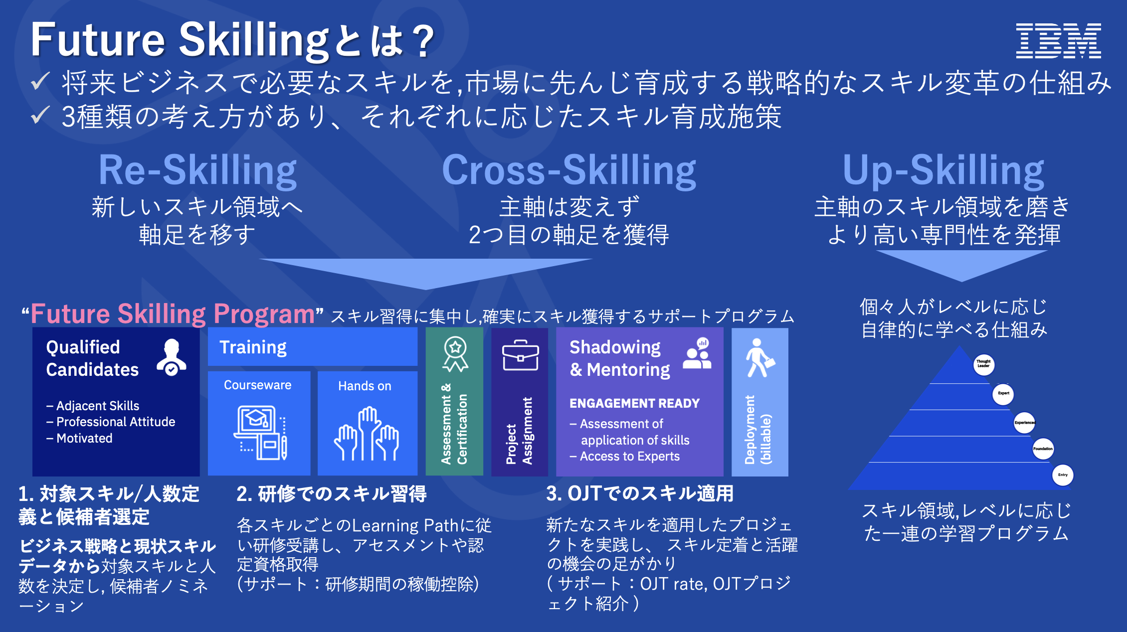 図5　Future Skillingプログラムの概要説明