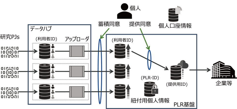 PLR基盤にPLRデータを蓄積する判断は個人に委ねられていて，データ蓄積前とデータ提供前に同意を求められる．一方，データハブでは個人の蓄積同意のあるデータのみを品質を一様に保つ処理を行ってからPLR基盤に転送する　The decision to store PLR data in the PLR infrastructure is left to the individual, and consent is requested before storing or providing the data. On the other hand, the data hub transfers only the data that the individual agrees to store to the PLR infrastructure after processing to ensure uniform quality.