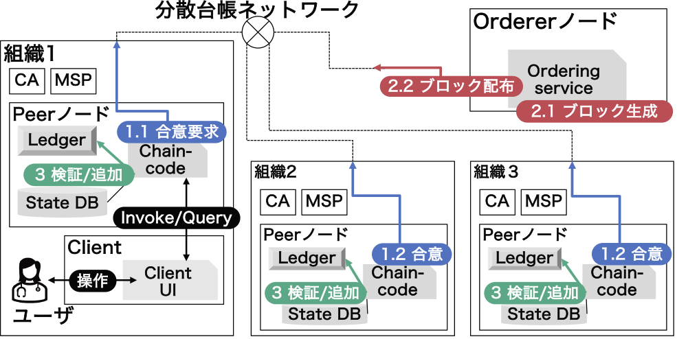 Fabric基礎外観図：Fabricを用いた分散台帳ネットワークのトランザクション発行時における参加組織間の合意形成　Basic overview of Fabric: consensus algorithm among participating organizations during transaction issuance in a distributed ledger network using Fabric.