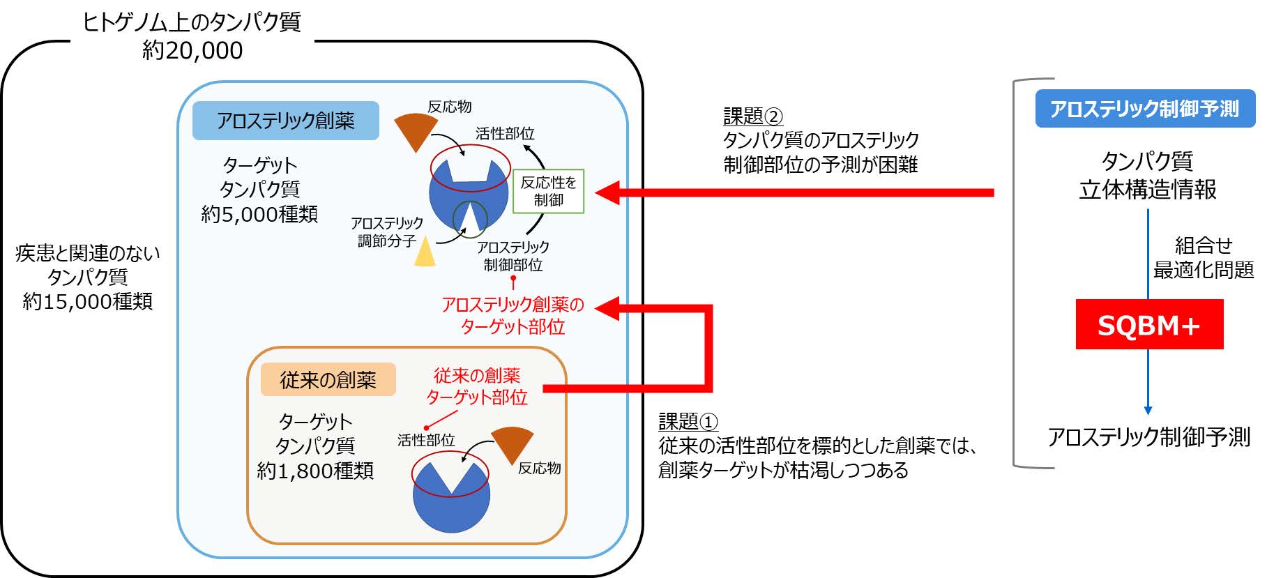 図2　SQBM+によるアロステリック制御予測