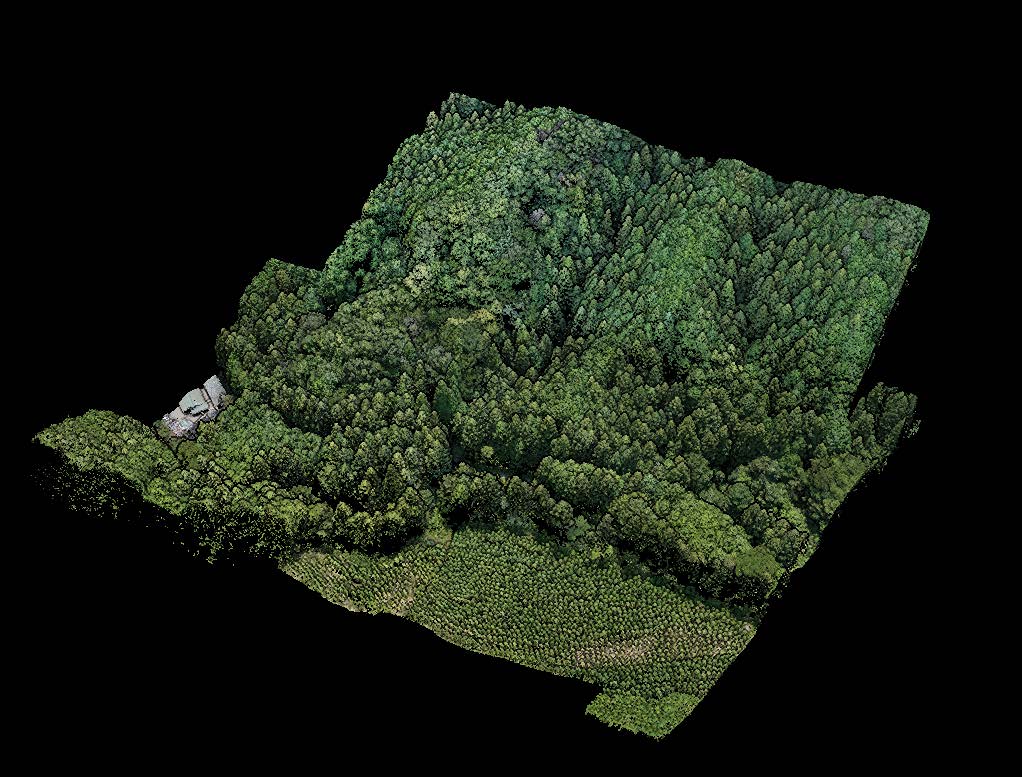 図1　UAV LiDARによる取得点群