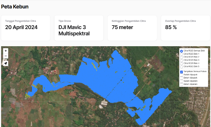 Figure 6　Detected oil palm trees  using YOLOv8 at oil palm plantations implemented in a web-based platform