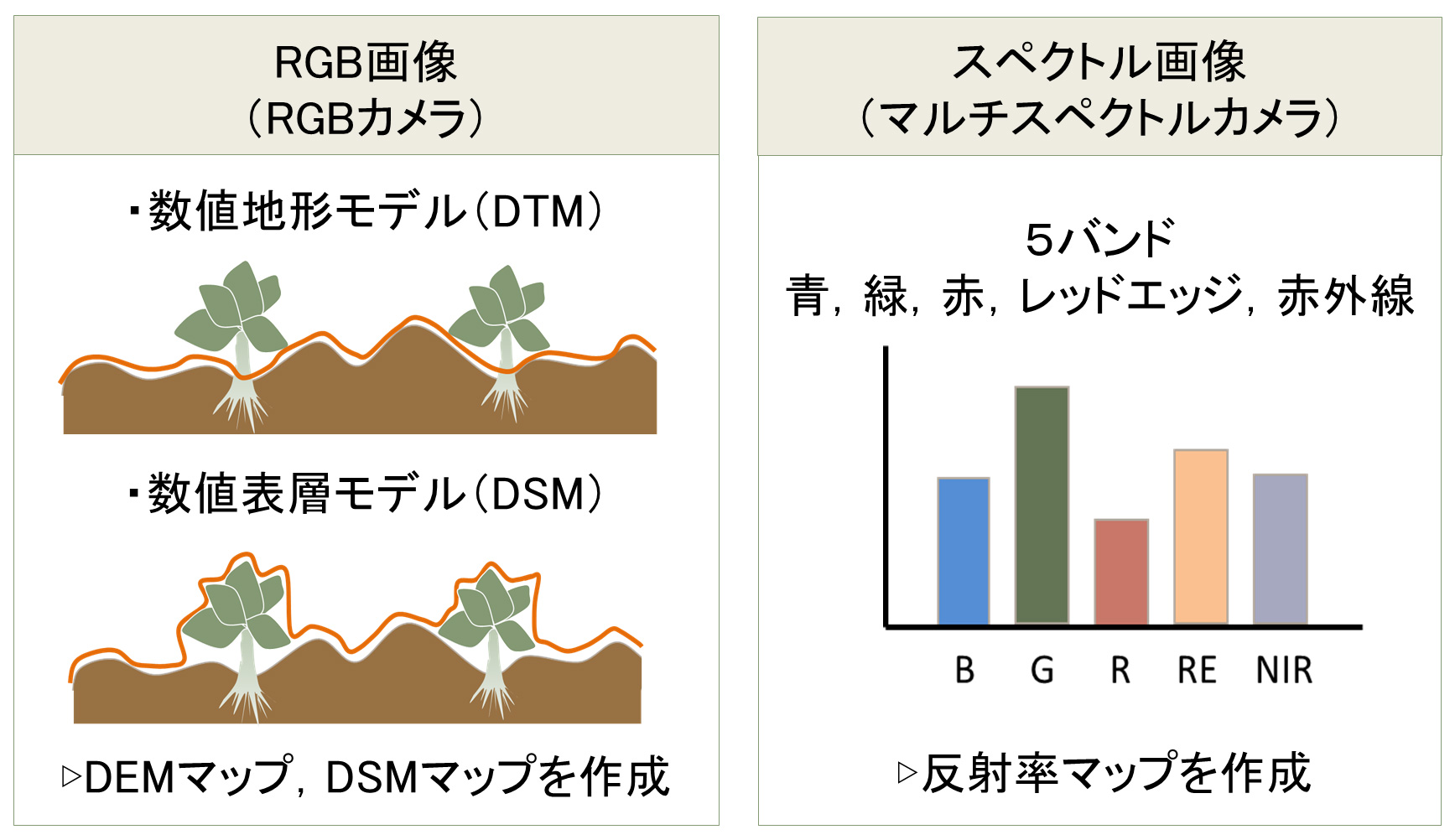 図4　DTM，DSMおよび反射率マップの算出