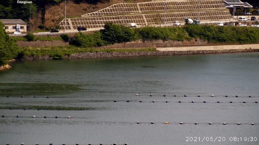 A view of the target area (Route 398).