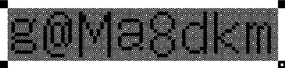 16×16，16分割，黒　16×16, 16-block, black.