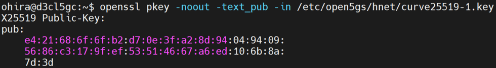 Open5GSが使用している公開鍵の取得　Obtaining the public key used by Open5GS.